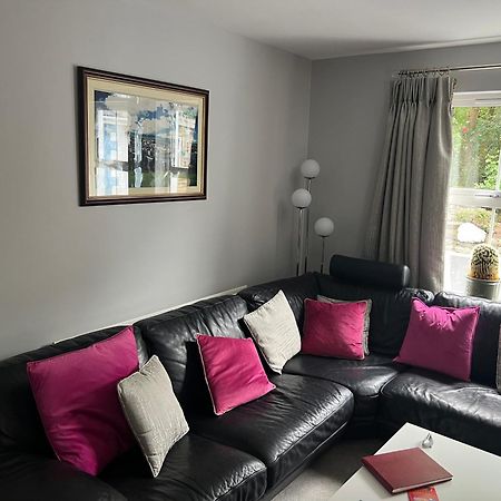 Five Oaks Bed & Breakfast Londonderry ภายนอก รูปภาพ