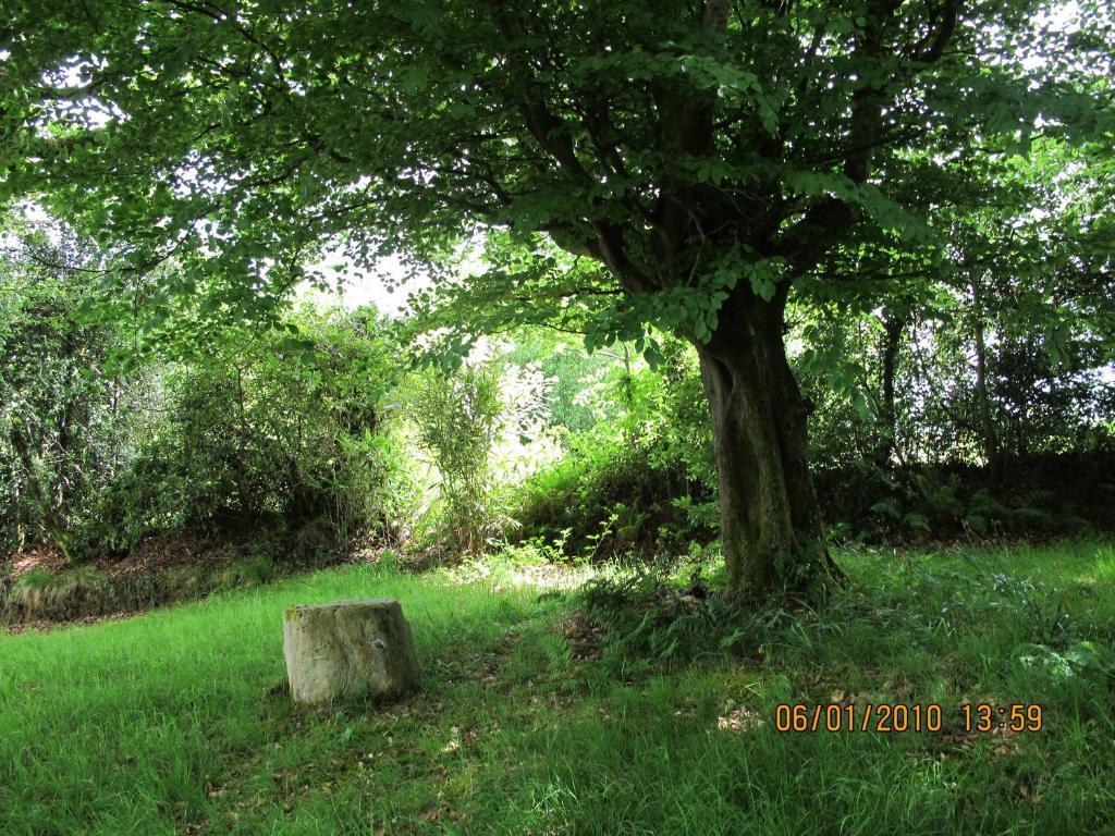 Five Oaks Bed & Breakfast Londonderry ภายนอก รูปภาพ