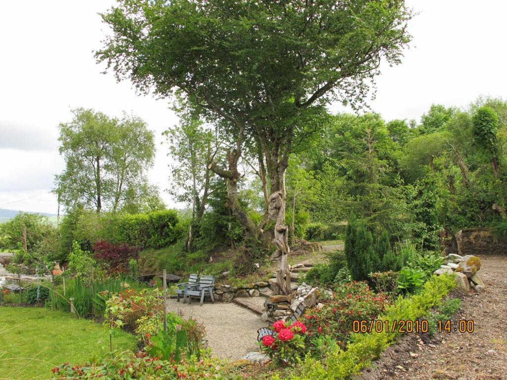 Five Oaks Bed & Breakfast Londonderry ภายนอก รูปภาพ