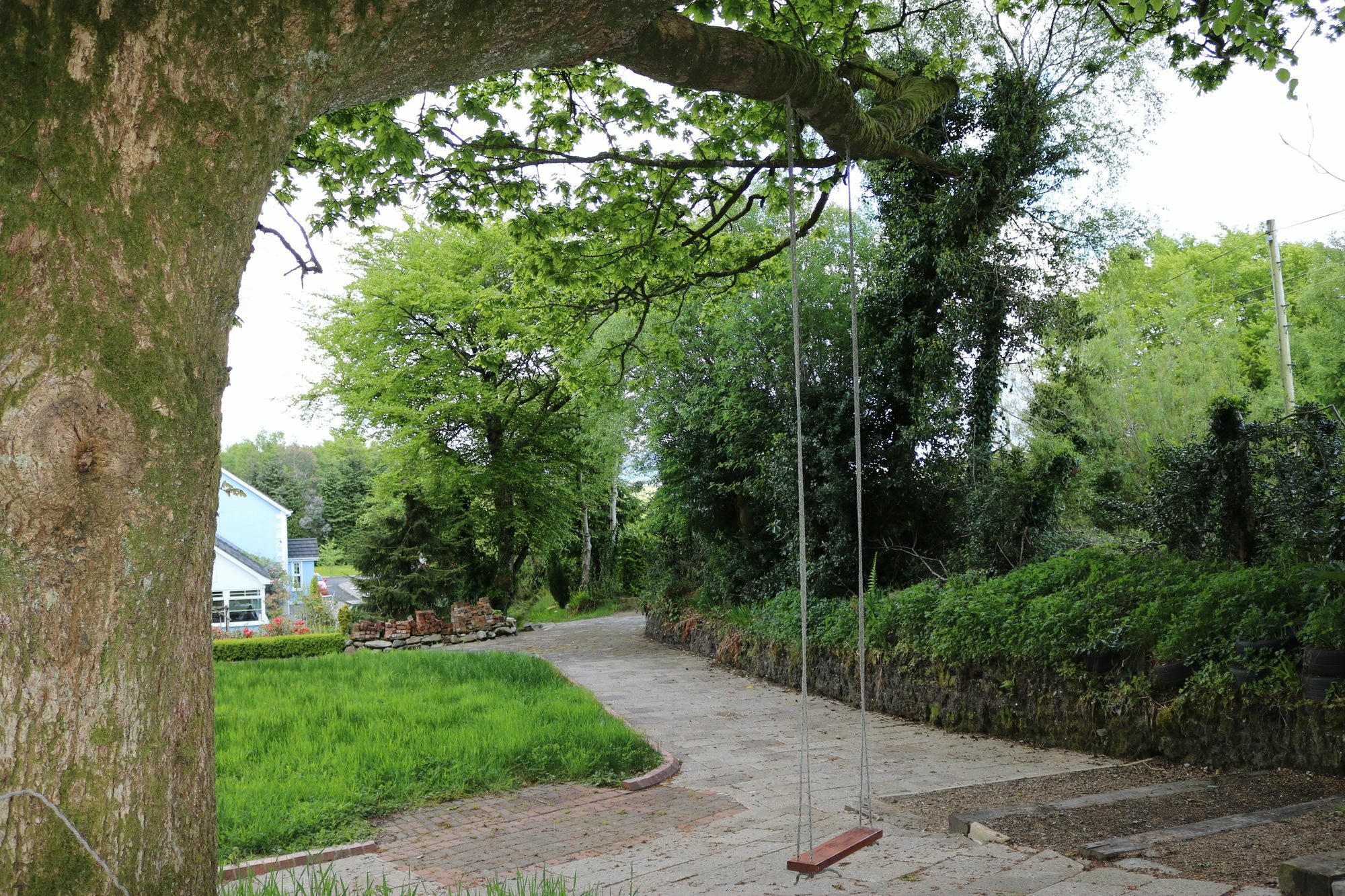 Five Oaks Bed & Breakfast Londonderry ภายนอก รูปภาพ