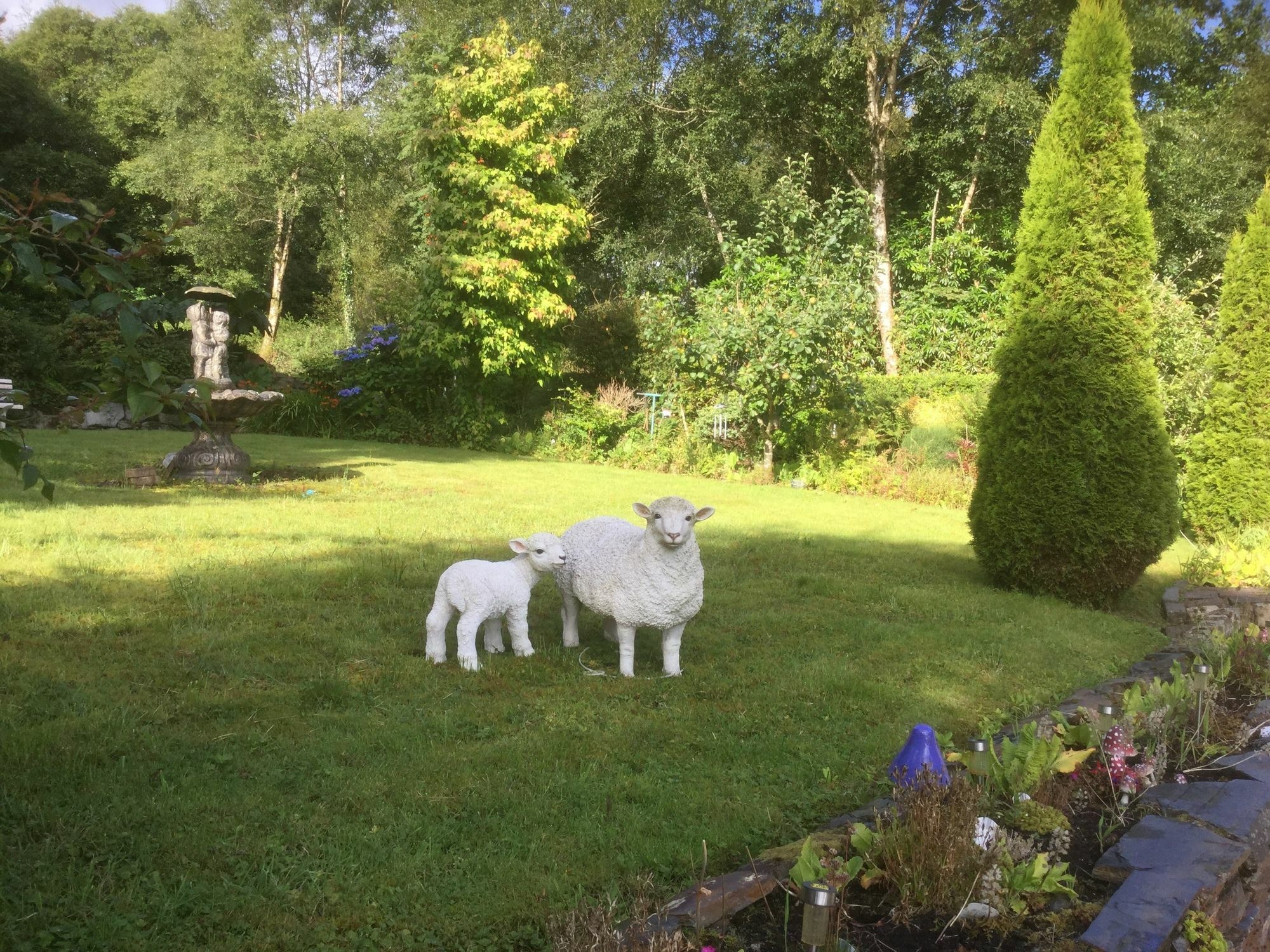 Five Oaks Bed & Breakfast Londonderry ภายนอก รูปภาพ